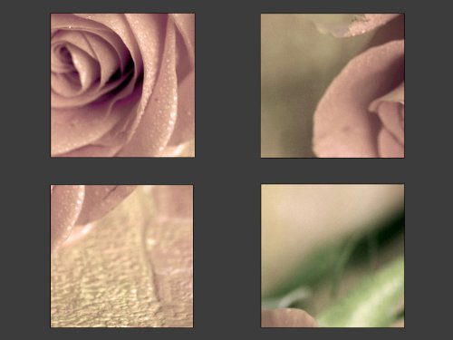 Landliebe - Premium Kunstdruck Wand-Bild - 100x75cm XXL Leinwand-Druck in deutscher Marken-Qualität - Leinwand-Bilder auf Holz-Keilrahmen als moderne Wohnzimmer Deko3