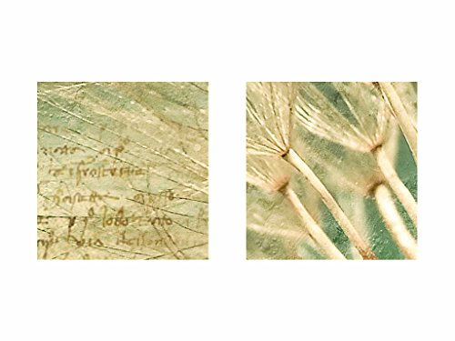 Bilder SENSATIONSPREIS !!! -2066339a- XXL Bild 120x80 cm !!! 100 % MADE IN GERMANY !!! Wandbild Bild auf Vlies Leinwand, Pustenblume, XXL Format - Fertig Aufgespannt - TOP - Leinwand - Kunstdruck - Vintage Art Natur grün2