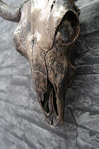 Wanddeko Wand Figur Stierkopf Skulptur Büffel Kopf Bullenkopf Schädel in Antik Kupfer 46 cm hoch1