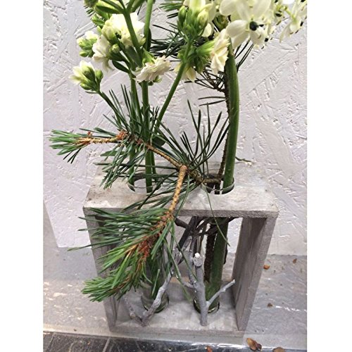 Vase mit zwei Reagenzgläsern