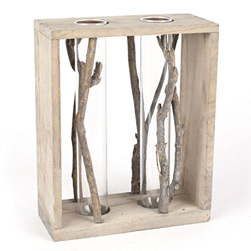 Vase mit zwei Reagenzgläsern